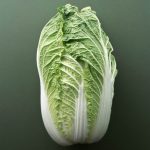 白菜大侠的头像-马陵山网